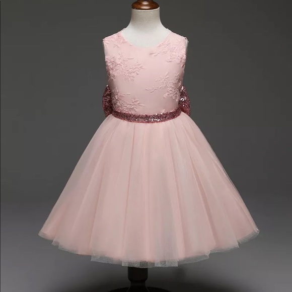 🎀New! Blush Pink Tutu Sparkly Bow Lace Dress - Picture 5 of 8